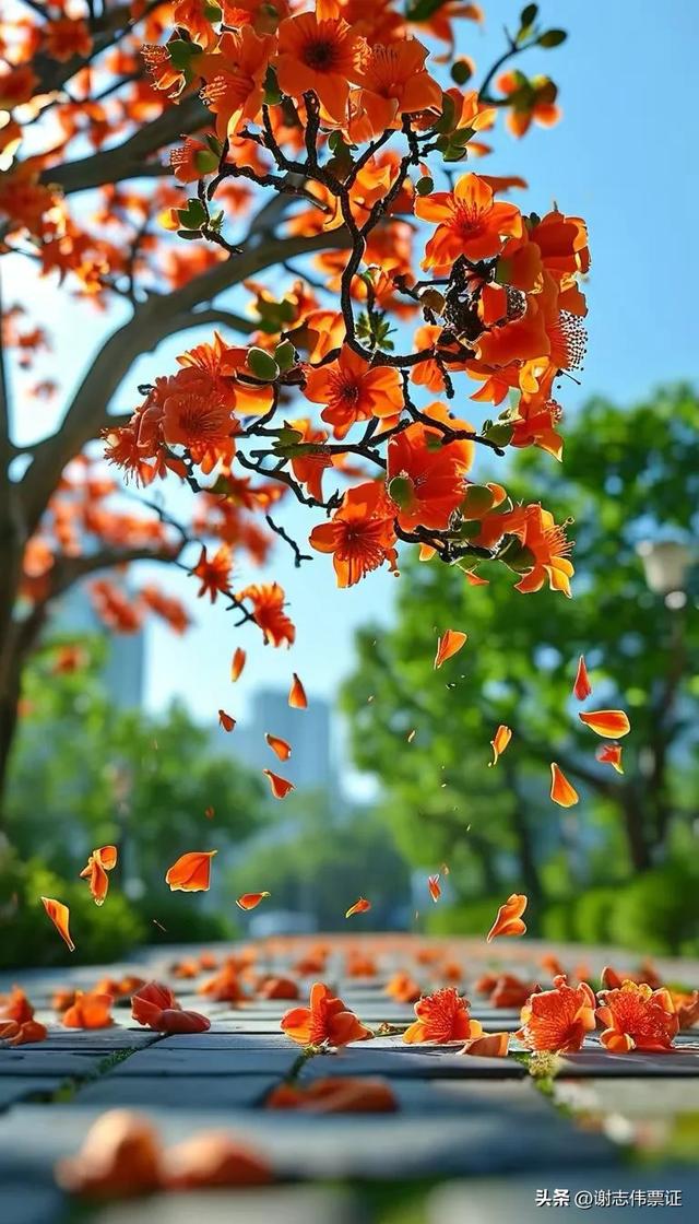 10月第4期(3天)点评