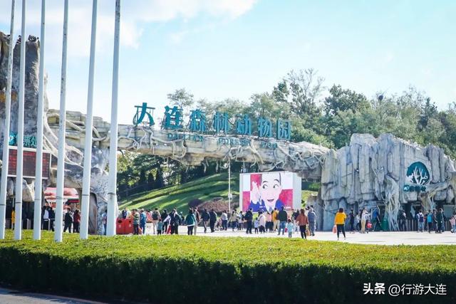 暑假余额不足！大连亲子游攻略速收藏