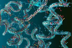 生物学的“费马大定理”—氨基酸怎么折叠？现在被AI“降维打击”图片