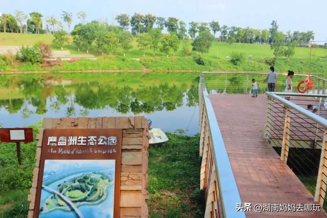 1小时直达！长沙藏了片“狗尾巴草秘境”，免费露营+玩水，人少景美，错过等一年！