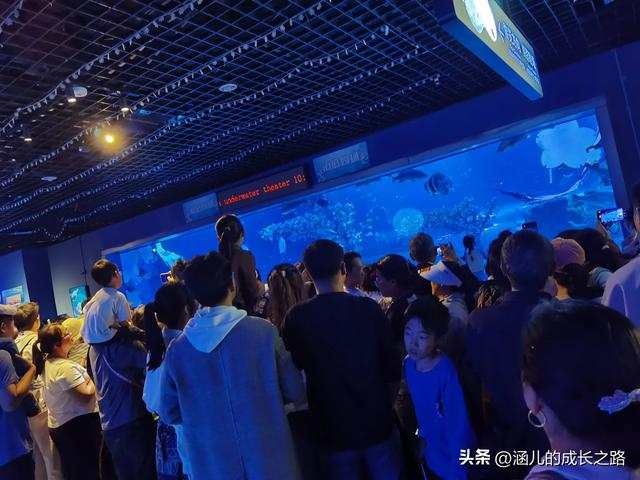 最新天津极地海洋馆一日游攻略——亲测实用!所有演出都可看完!