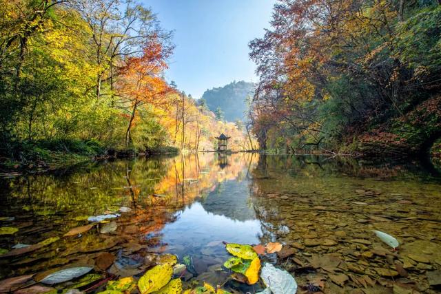 秋假不“宅家”!汉中这4条线路,承包你和孩子的秋日心动~