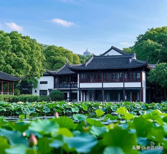 “苏州是精致，杭州才是生活”？江南双雄，谁更能留得住人？