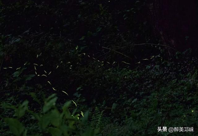 何处不是浪浪山？下一站，天台山！
