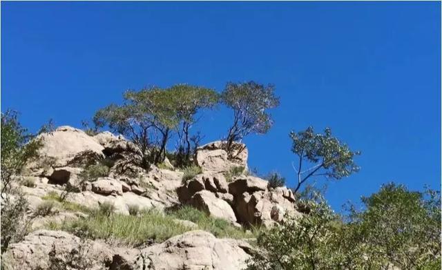 大同哪座山最高，谁是“大同屋脊”？