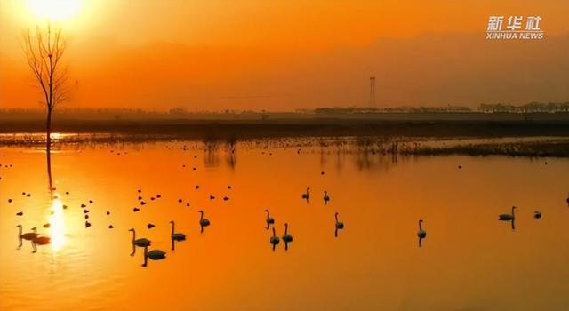 2025年12月11日 渭南文化旅游资讯微报（组图）