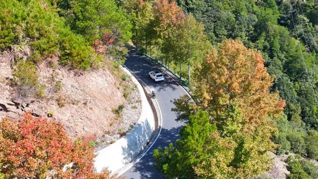 骑行赏枫、古村寻秋……被祁门的「枫景」治愈啦！| 皖美秋日