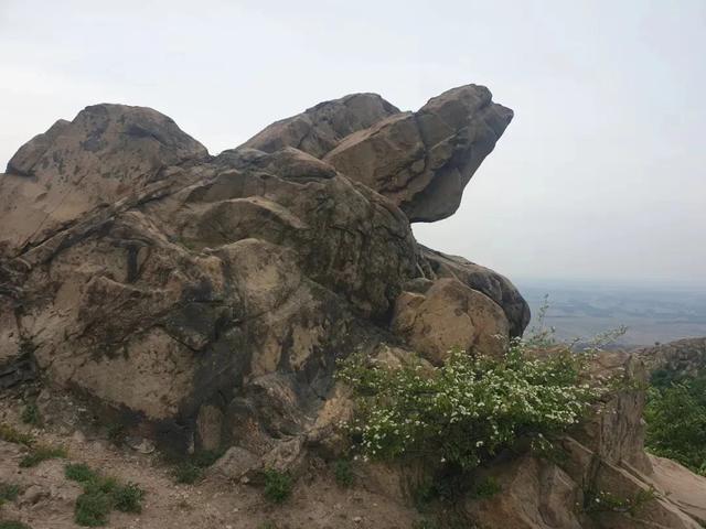 来泌阳罗汉山吧！品天地雄浑之美……