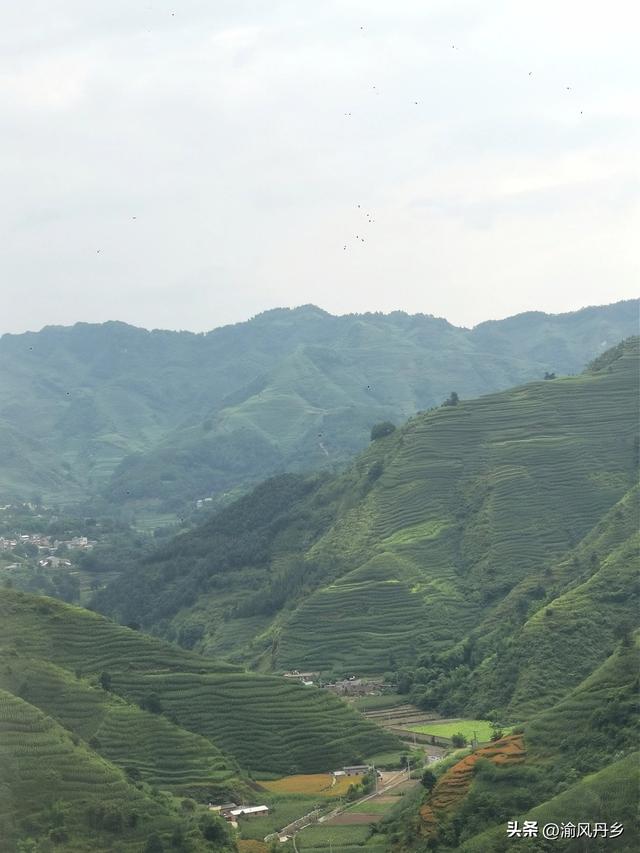 重庆奔赴抚仙湖沿途风景