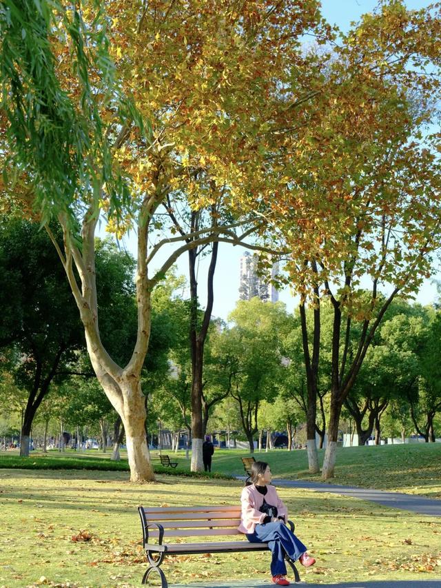 周末N次方 | 打开这份江汉赏秋图鉴→