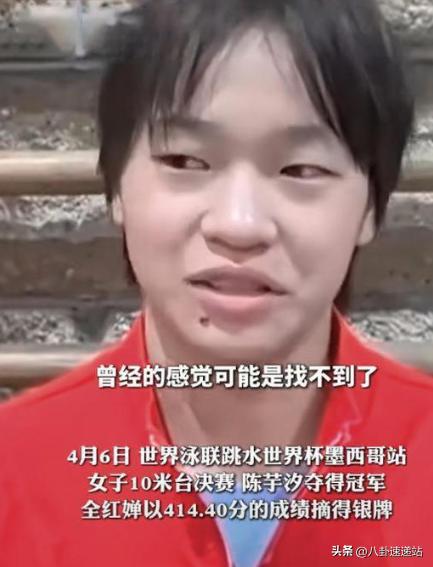 高敏不忍了！出手给全红婵出了口“恶气”，印证了陈若琳的那句话