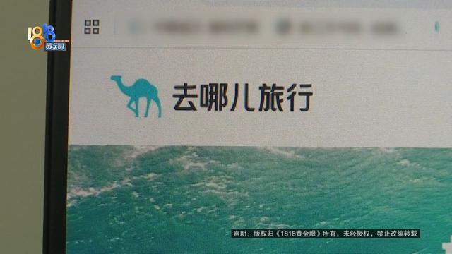 带孩子去新西兰旅游，订的机票被取消，他却意外发现......