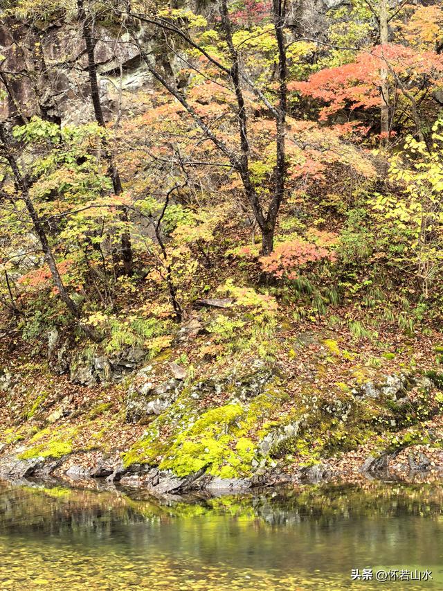 2025辽宁赏秋之旅日记(2)——游览丹东蒲石河森林公园