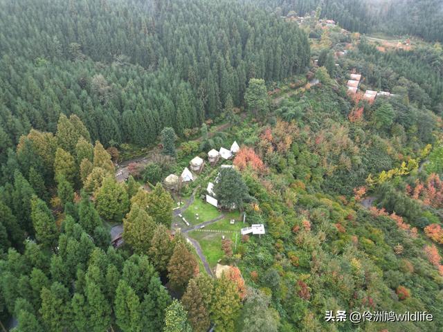 四川行(73)什邡红枫岭徒步到钟鼎寺