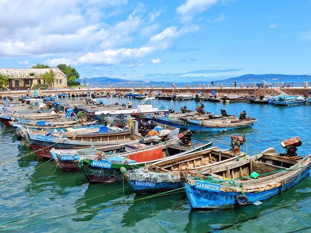 夏天带娃出行的4个最佳旅行地，凉爽又好玩，带孩子一年去一个！