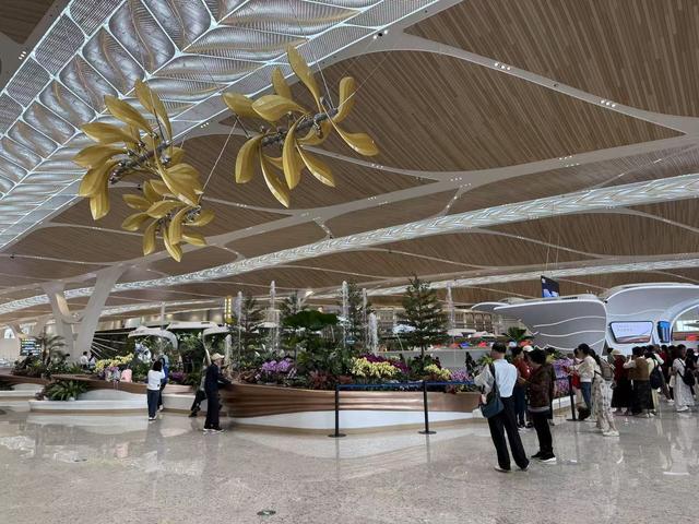 白云T3，美就够了