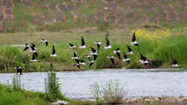 武夷山 | 我就说，这才是过日子~