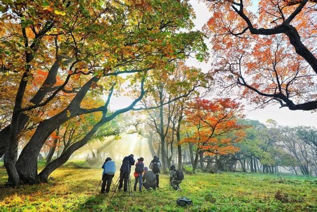 国庆游吉林龙湾景区,赏秋日美好盛景