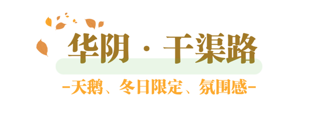 很多人没去过！渭南氛围感拉满的4个秘境
