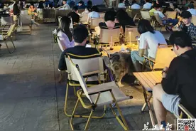 松弛感拉满！就在武汉长江边图片