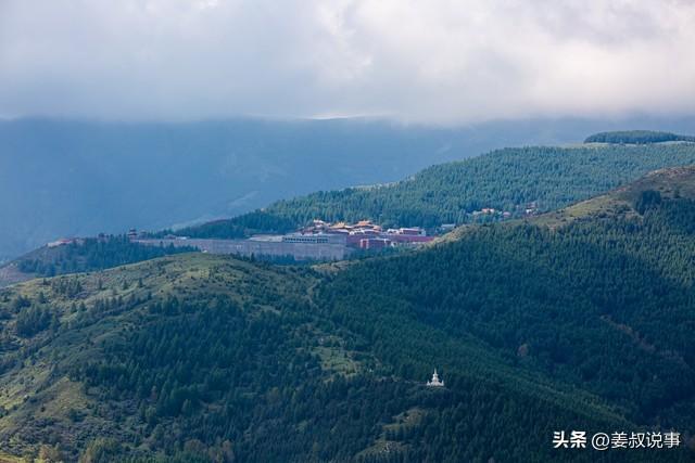 五台山奇遇：灵狐引路，感悟自然之灵