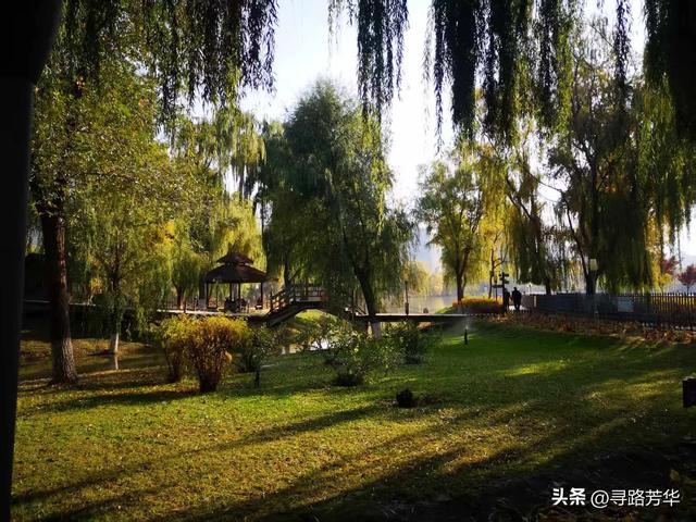 银滩湿地公园的秋日午后时光