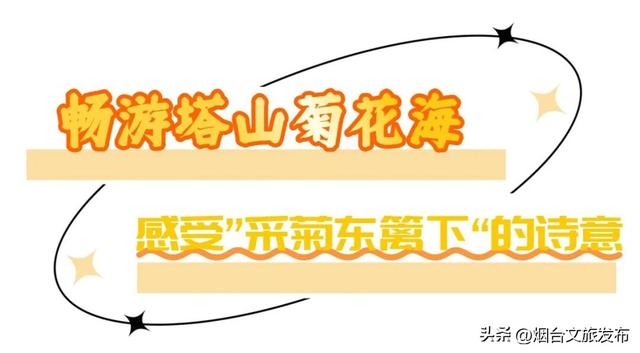 【乐游烟台】周末好去处丨玩转秋天！烟台好玩程度超出想象！
