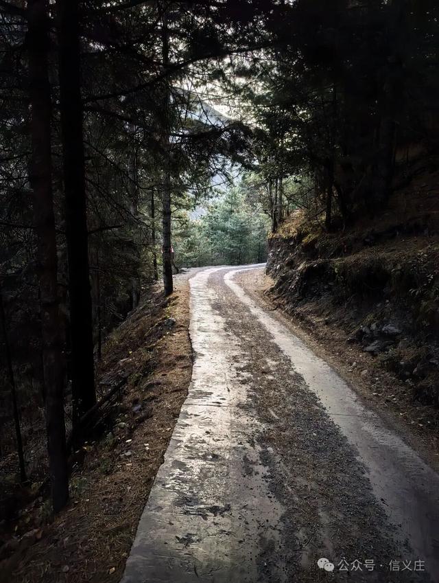 雨崩，一个让人语崩的地方（四）蹦蹦跳跳出雨崩