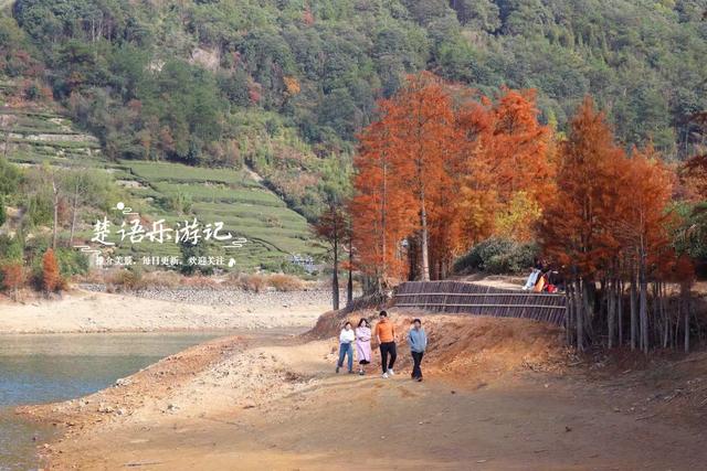 浙江绍兴的网红水库，因红杉胜境而出圈，具体怎么游请看详细攻略