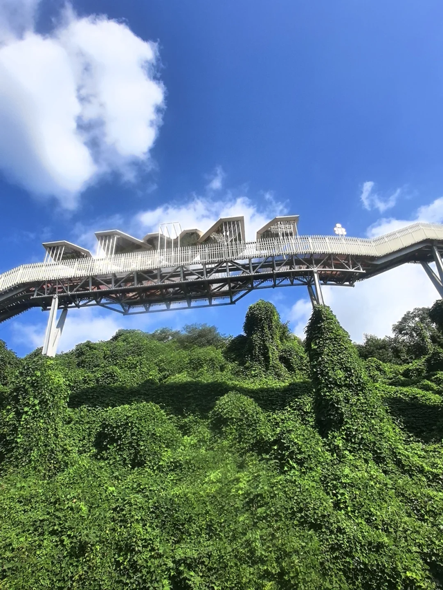 自驾1h直达0门票，我宣布这里是成都市区最美观景步道！