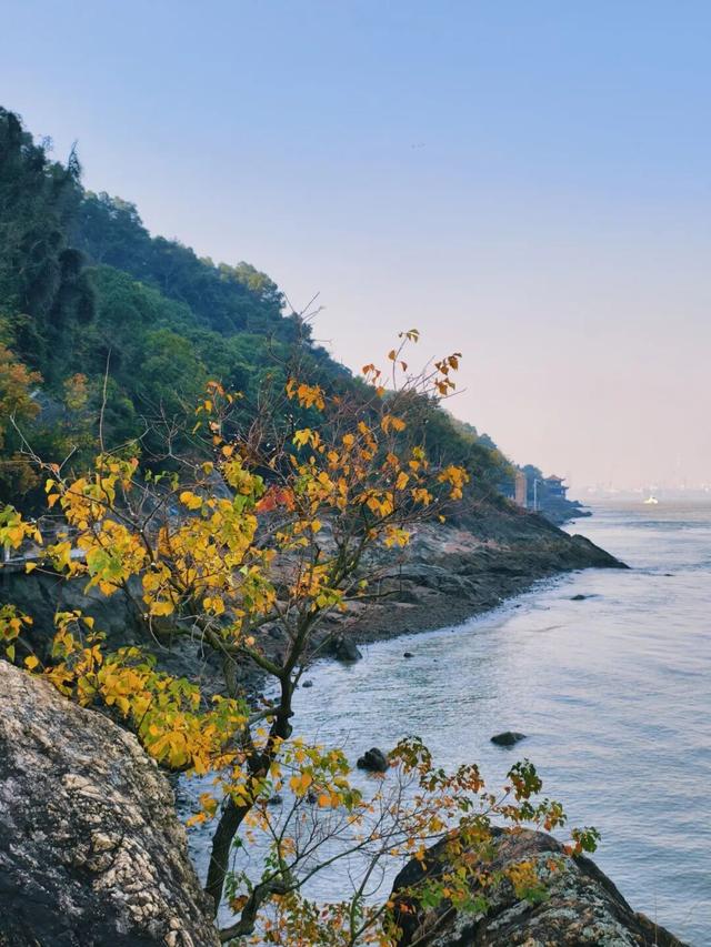 逛起来！8小时10个公园！