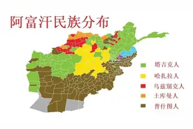 全球的非移民国家中，主体民族占比低于60%的国家，都有哪些？图片