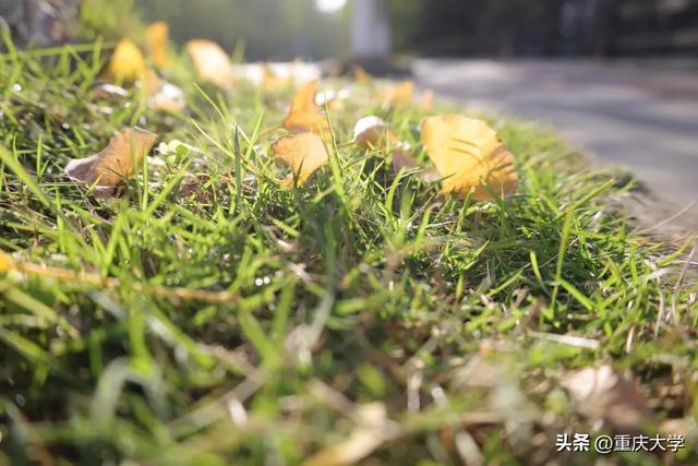 重大限定皮肤上新，超出片！🤳