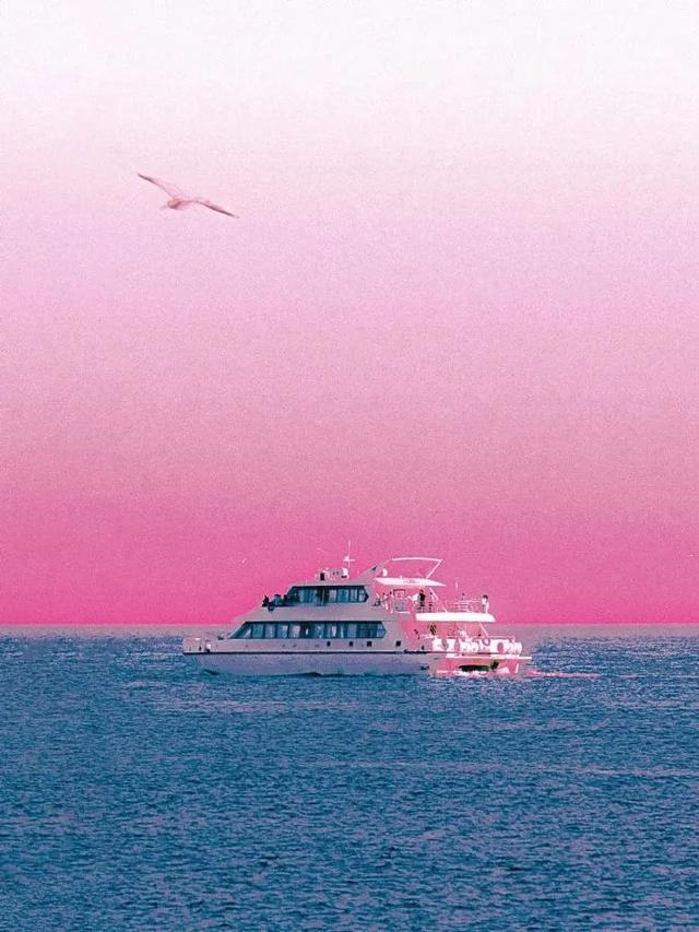 无尽夏丨夏日里永不落幕的浪漫