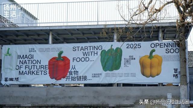 从历史中“长”出未来！扬州这条河正在“逆生长”