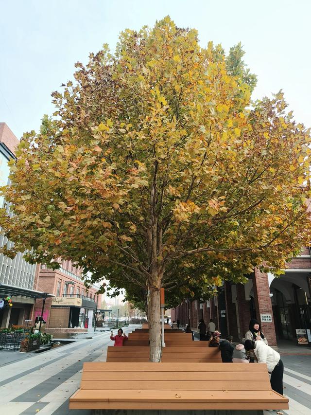 天津《棉三创意街区》