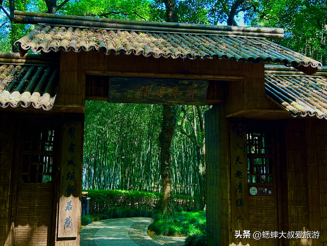 太让人有惊喜了，浙江秋日千年古风地，每一寸都浸润着文人风骨！