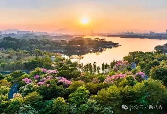 广东东莞十大打卡地（精简版）
