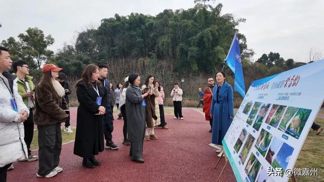 烟火与绿意相映 四川网络名人解锁市中区新魅力