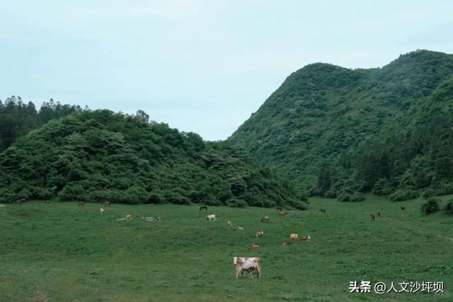 这5个宝藏避暑地，白天耍水、晚上盖被子，本地人都私藏！