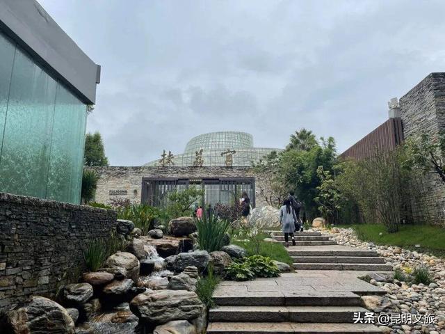 探索自然野趣、探秘植物王国……带孩子来昆明避暑，走这条线路必游！