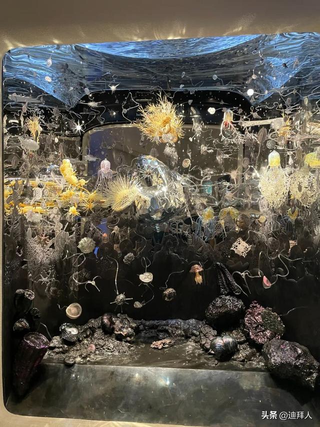 阿布扎比新地标！实地打卡「扎耶德国家博物馆」（附参观指南）