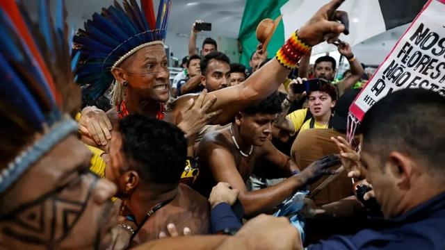 迄今世界第一大蛛网：106平米，11万只蜘蛛的家