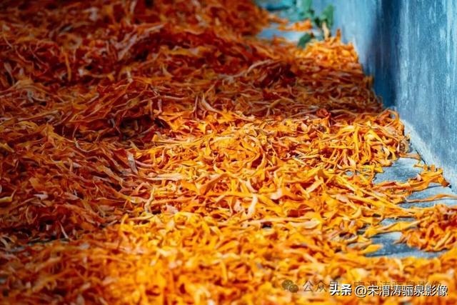 陕西渭南：柿饼甜美软糯可口 富平县曹村镇马坡村未来可期