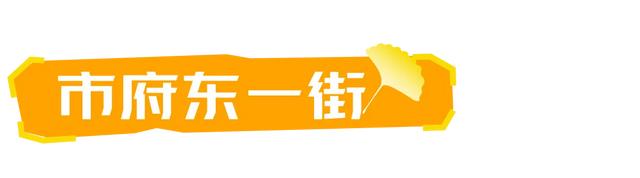 山东:时至初冬,银杏正当时