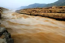 黄河每天冲鱼入海，大部分淡水鱼在海里都活不了，它们都去哪了？图片