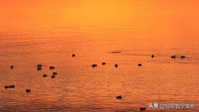 2026，从滇池的第一缕阳光开始