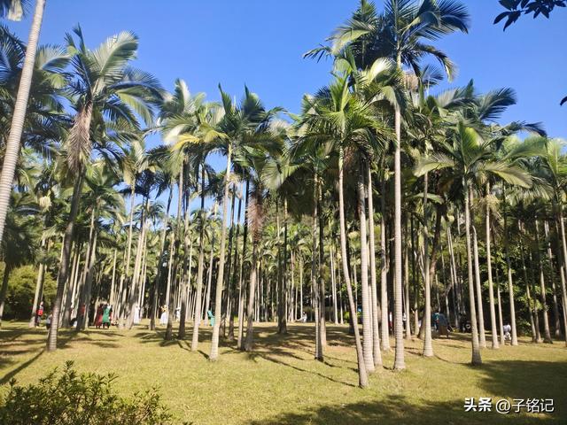 两性关系，65女人大实话，男人过了70岁，只剩下一个用处