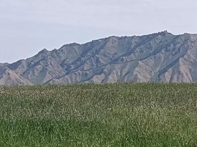 又踏甘肃地之三 张掖篇之一 金张掖