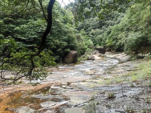 温州这个以畲族始祖命名的4A级景区，秘藏着一座“生物王国”！